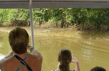 Crocodile spotting with walking tour of local plantation in Goa 