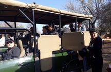One day Safari including a 5 Hour Open Safari Vehicle Drive