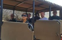 One day Safari including a 5 Hour Open Safari Vehicle Drive