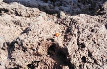 Etna and Taormina Tour from Messina
