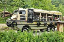 Everland Theme Park & Korean Folk Village tour (private group)