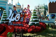 Everland Theme Park & Korean Folk Village tour (private group)