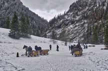 Horse Sleigh Ride in the Polish Countryside, private tour from Krakow