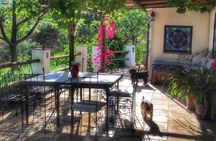 Gourmet Cooking Class & Culture in the rural Montes de Malaga.