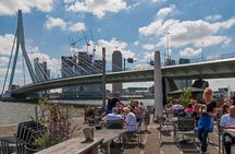 Amsterdam: Rotterdam, Delft and The Hague Private Tour 