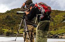Birdwatching Tour in Cajas National Park from Cuenca