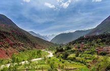 The Atlas Mountains and 3 Valleys Day Trip in 4x4