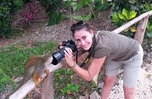 Jungle Buggies and Monkeyland from Punta Cana