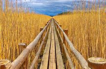 From Riga: Best of Kemeri National Park In One Day
