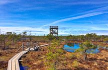 From Riga: Best of Kemeri National Park In One Day