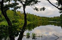 Four Natural Ecosystems In One Hike