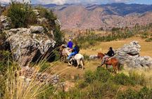 Half Day - City Horse Traditional Riding Tour Group Service