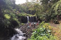Maui Tour : Road to Hana Day Trip from Lahaina with Pick-up