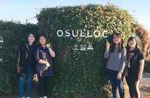 Jeju Island Taxi Tour : South Day Tour