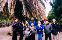 Jeju Island Taxi Tour - West Day Tour