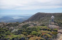 kunanyi/Mt Wellington Explorer Bus- Return Tour (2.5 hours)