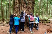 Talking Trees: Stanley Park Indigenous Walking Tour Led by a First Nations Guide