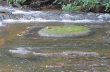 Kulen Mountain, Killing Fields and War Museum Tour