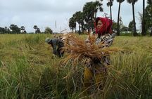 Half Day Floating Village ( Mechrey) & Tole Sap Tour
