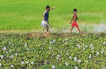 Killing Fields, War Museum and Floating Village ( Mechrey )