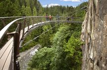 Vancouver and Capilano Park Private Tour