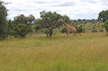 Akagera National Park Day Trip