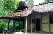 Private One Day Chengdu Panda Tour and Chengdu City visiting