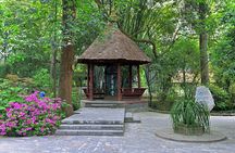 Private One Day Chengdu Panda Tour and Chengdu City visiting