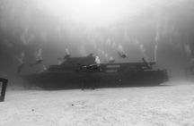 Racha Noi and Racha Yai Dive Trip from Phuket