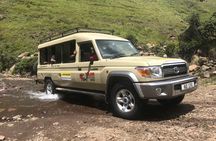 Sani Pass day trip