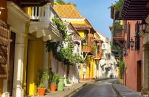 Shore Excursion PRIVATE City tour 