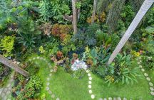 Hunte's Gardens 