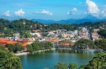 Private Day Trip To Highlights in Kandy.