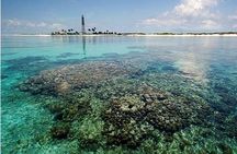 Dry Tortugas National Park Day Trip by Catamaran from Key West