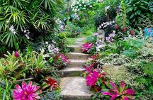 Hunte's Gardens 