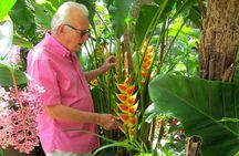 Hunte's Gardens 