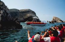 Paracas, Ica and Huacachina Oasis from Lima with Touristic Van
