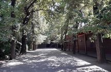 Private half day city tour