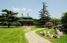All Inclusive Private City Tour to Temple of Heaven, Tian'anmen Square Forbidden City and Summer Palace