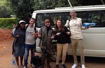 Nairobi National Park, Giraffe Center & Karen Blixen Museum 