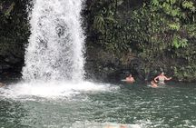 Maui Tour : Road to Hana Day Trip from Kahului Lunch, Water, Chip