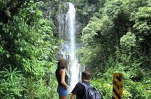 Maui Tour : Road to Hana Day Trip from Kahului Lunch, Water, Chip