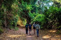 Rau Forest Nature Walk (One Trip - One Tree)