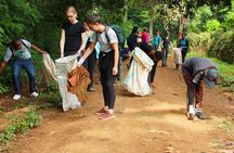 Rau Forest Nature Walk (One Trip - One Tree)