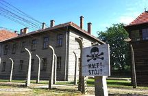 Auschwitz-Birkenau and Salt Mine Full day tour