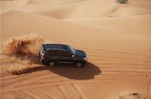 Premium Full-Day Safari, Dune Bash, Camel Ride and BBQ Meal in Desert Camp