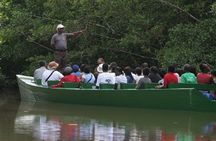  The Scarlet Ibis - Caroni Swamp Tour