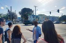 Explore Wynwood with local artist