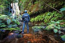 Beauty of the Blue Mountains Private Tour 