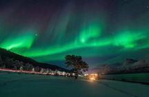 Northern Lights Minibus Chase from Tromso